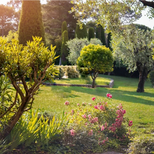 A beautifully maintained garden and trees.