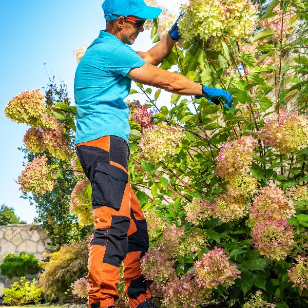 Backyard Garden Seasonal Maintenance