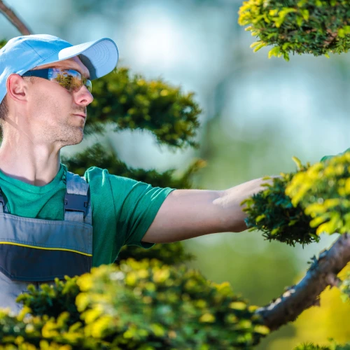 Gardener at work