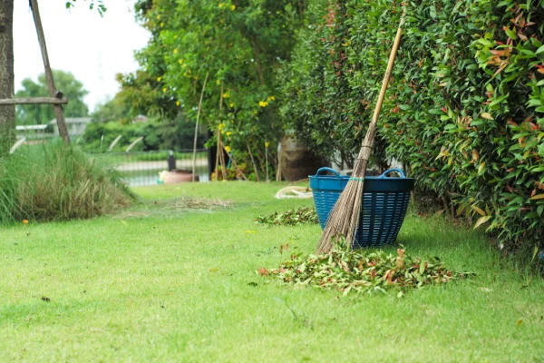 Gardening work at the backyard of house