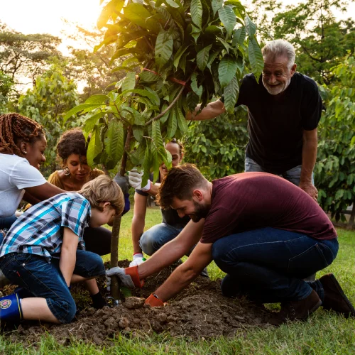 Group of people plant a tree together outdoors