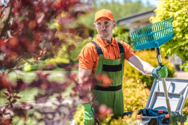 gardener working in the green garden and cleaning it from leaves and grass