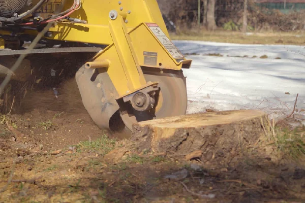 machine stump grinding service