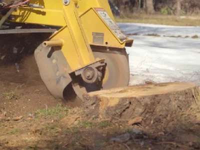 machine stump grinding